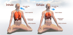 How-to-Breathe-While-Meditating